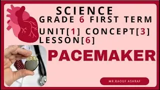 Grade 6 | Science | Unit 1 - Concept 3 - Lesson 6 - pacemaker