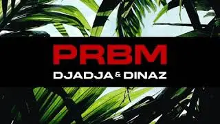 Djadja & Dinaz - PRBM (Audio officiel)