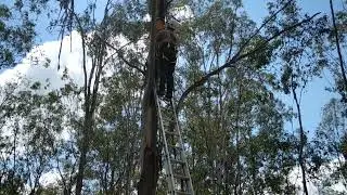 Installing a rear entry glider box
