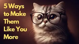 5 Ways to Chat with Someone You Like & Make Them Like You More