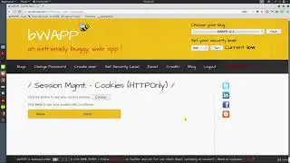 38 Http Only Cookies