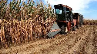 802 UNI Chops Silage for the Neighbor