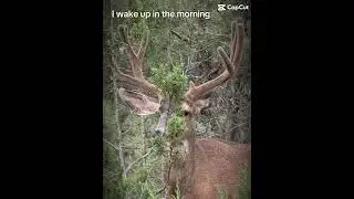 @gethushin @bigtinecritt @RockyTopOutdoors34