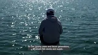 Regenerative Seaweed Farming in the Philippines