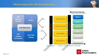 Aspectos clave de la gestión de Tesorería