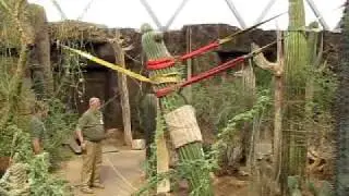 New Plants Descending into the Desert Dome at Omahas Henry Doorly Zoo&reg; Part 2