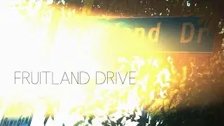 FRUITLAND DRIVE | A Rainy Day In LA | Digital Bolex D16
