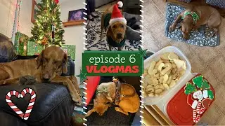 Vlogmas Ep. 6!! (Christmas, making cookies, packing) | Service Dog Vlog