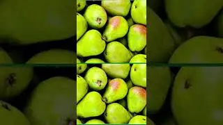 ADA YANG BERBEDA...SILAKAN DICARI