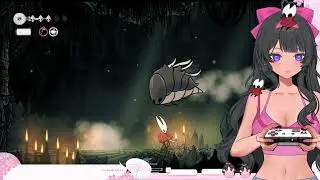 Meaty Bug Fight [Silksong Addiction Pt 4]