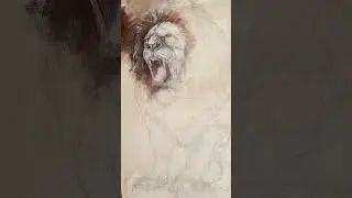lion painting progress...                #art #painting #Scheth