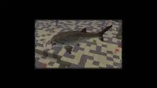 Prehistoric Nature: Life before the dinosaurs