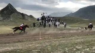 Скачки в с.Гергебиль, Джихад чемп 🏆