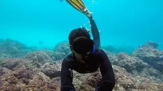 Snorkeling in Mallorca - Skualo Watersports