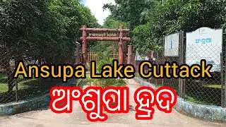 Ansupa Lake Cuttack | ଅଂଶୁପା ହ୍ରଦ କଟକ | Best Picnic Spot Banki #odiavlog #rajeshpandavlogs 