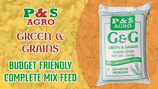 Best Budget Friendly Mix Feed - P&S Green & Grains