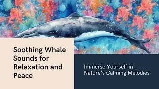 Music and sounds for the whales