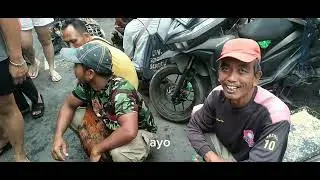 Update vidio ayam pasar burung 16 ilir palembang januari 2026