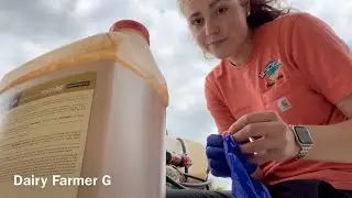 Spraying Weeds with the Four-wheeler!
