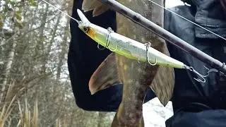 Shimano World minnow 115sp