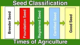 Classes of Seed | Seed Class | Principles of Seed technology | By Vikash Patel | BSc Agriculture |