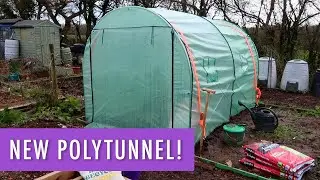 🌻 Say Hello to the New Polytunnel 🌻 Allotment Vlog Ep.5