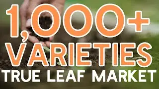 Thousands of Varieties of Heirloom & Organic Garden Seeds from True Leaf Market