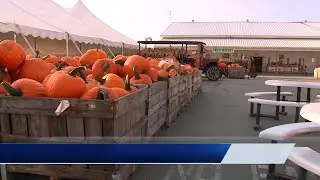 Huber's Orchard and Winery named 8th best pumpkin patch in U.S.