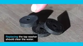 Cloudy Water Advice