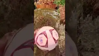 Slow motion water ripples: a satisfying physics experiment#waterripples #slowmotion