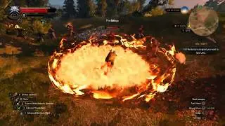 Witcher 3 - 