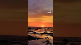 Avoca Beach Australia
