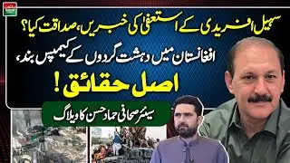 Sohail Afridi Resignation Rumors | Terrorist Camps Closed in Afghanistan | Hammad Hassan Vlog