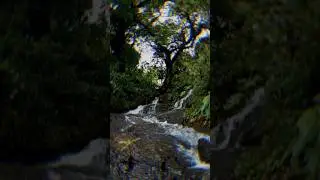 Bicholim Dhabdabha📍#mansoon #rainyseason #waterfall #amazingwaterfall