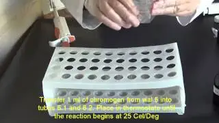 Determination of the fermentation activity of invertase (1-7)