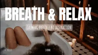 REDUCE ANXIETY | 1:00:00 of Calm Breathing and Stress Relief  | No speach, no distraction
