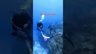 Life Is Short 🌊🤿 Do What Makes You Happy | Dive Cozumel 2026