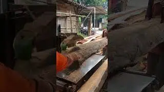 merajang kayu mahoni kering ‼️ serkel rakitan