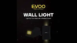 #shorts  Energy-Efficient EVOO Wall Lights Designed For Modern Spaces.