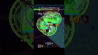 my fastest boss kill 18 sec
