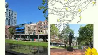 summer in Rotterdam