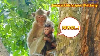 So Sad for mom Brinn , Instead of Tara, Amara kidnaps her little princess | Brittany Crying for help