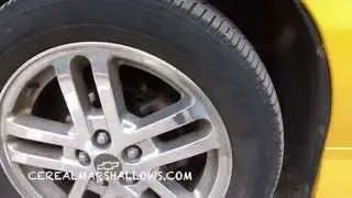 One Owner Car Guy Parody
