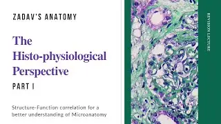 The Histo-physiological Perspective Part I