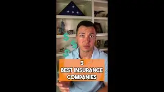 3 Best Insurance Companies Right Now 🦆🦎