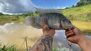 Pecaria hoje foi na porta de casa 🎣