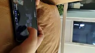 My first video. Sorry for the bad quality