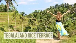 Tegalalang Rice Terrace | Ubud Bali Indonesia