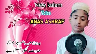 najam🌹Batao hajio madena ksei basti h🎤voice anans ashraf🎞️furqania media