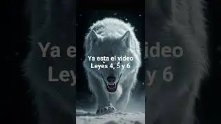 Saga videos 48 leyes del poder #48leyesdelpoder #estoicismo #lobointerior